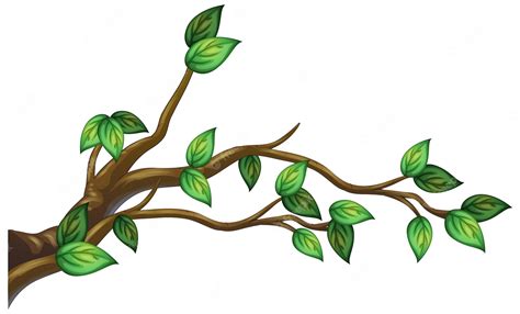 Green branch clipart. Free download transparent .PNG Clipart Library ...