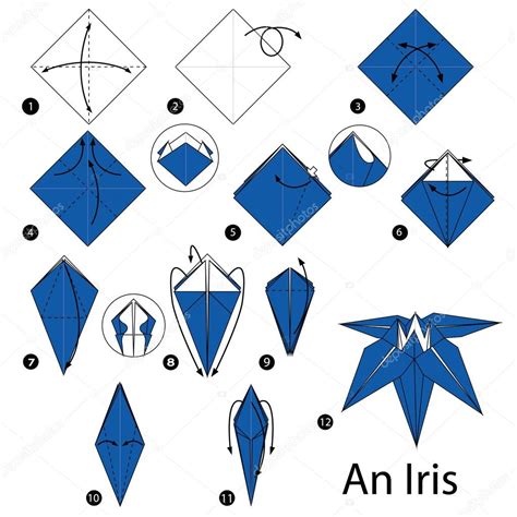 Step by step instructions how to make origami An Iris. Stock Vector by ©pokky334.hotmail.com ...