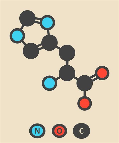 Histidine Amino Acid Molecule Photograph by Molekuul | Fine Art America