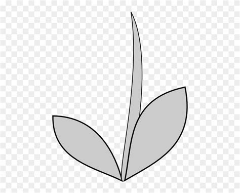 Flower Stem Outline Clipart | Best Flower Site