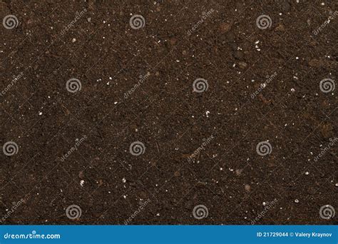 Peat soil stock photo. Image of moss, humus, growing - 21729044