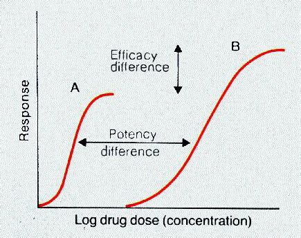 Efficacy vs Potency, why is efficacy more important than potency?