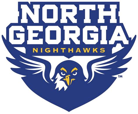 College golf: UNG men's team sits at second place in North Georgia Fall Invitational ...