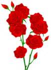 Red Roses Transparent PNG Clip Art Image | Gallery Yopriceville - High-Quality Free Images and ...