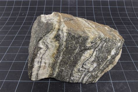 Metamorphic Rocks- Earth Science | San Antonio College Geology Museum ...