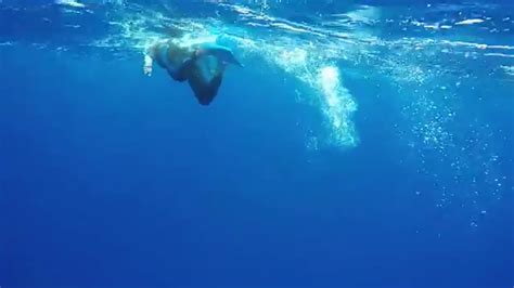 Whale diving - Tongatapu, Tonga - YouTube