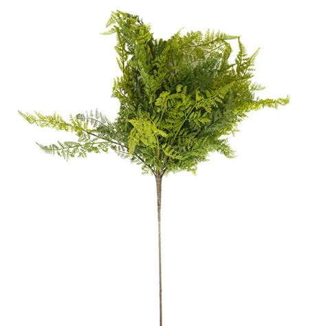 BUSH CYPRESS FERN WITH 32IN GREEN | Craftex