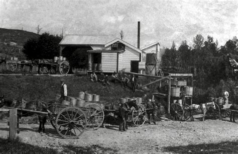 Rangiwahia Dairy Farming History - MANAWATU'S IRON GATES EXPERIENCE