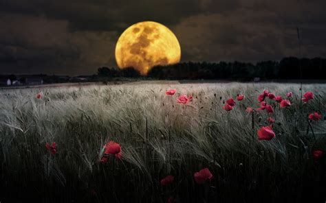 Harvest Moon Wallpaper (61+ pictures) - WallpaperSet