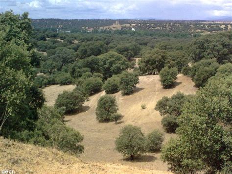 Foto de Boadilla del Monte (Madrid), España