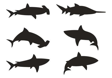 Shark Silhouette Vectors 93663 Vector Art at Vecteezy