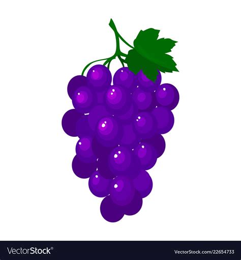 Cartoon fresh grapes isolated on white background Vector Image