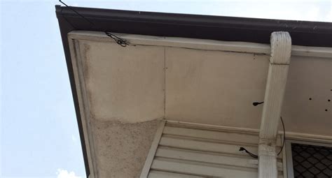 How to Replace Eaves on a House | North East Plumbing