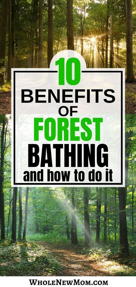 10 Proven Forest Bathing Benefits & How to Do It - Whole New Mom