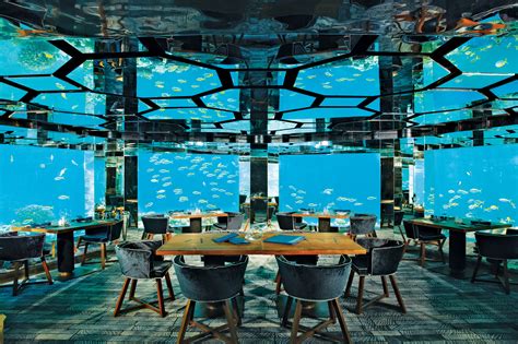 Drinks Beneath The Sea: Underwater Bars You Need To Visit | Unsobered