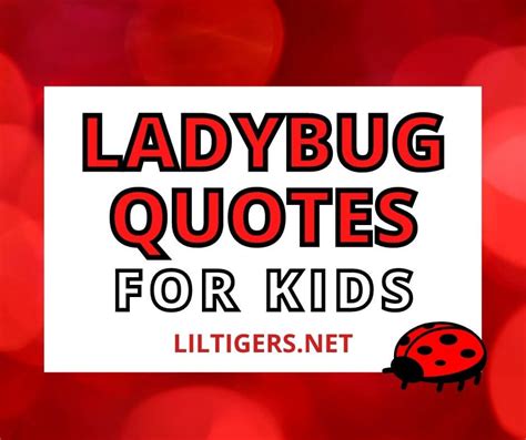 40 Best Ladybug Quotes for Kids - Lil Tigers