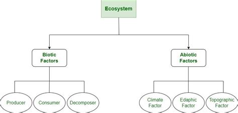 Difference Between Ecosystem and Biome - GeeksforGeeks