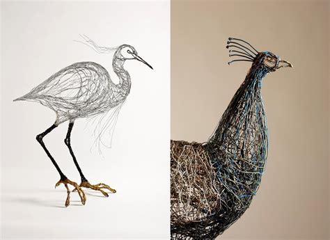 Amazing Wire Bird Sculptures and Installations By Celia Smith