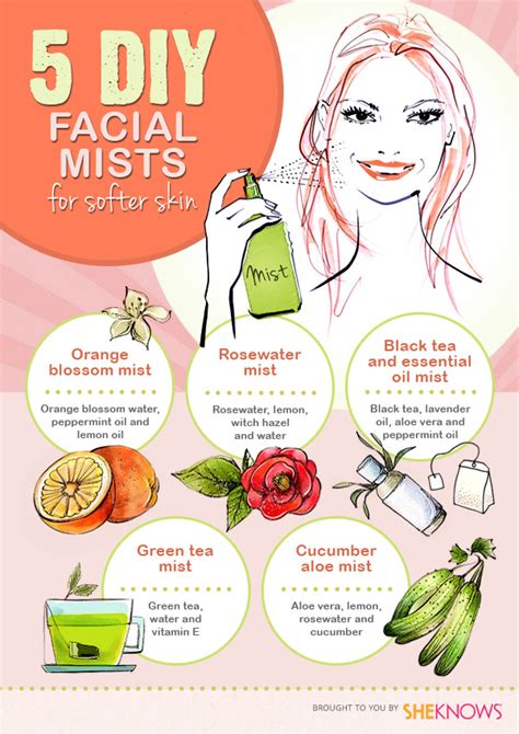 5 DIY facial mists for softer skin – SheKnows