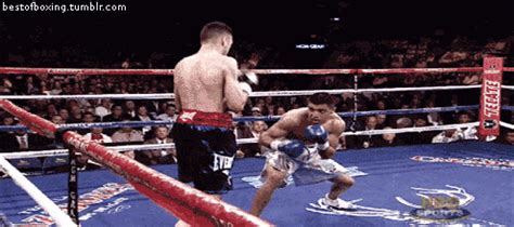 Boxing Animated GIF | Martial arts gif, Gif, Funny gif