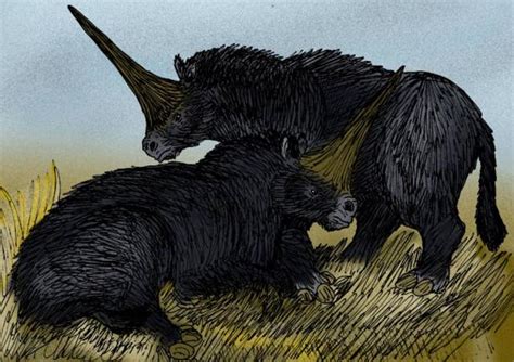 Researchers Find Siberian ‘Unicorn’ Fossil Fragments in Kazakhstan, Say ...