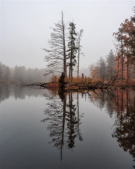 Foggy morning at Richfield Heritage Preserve : r/Ohio