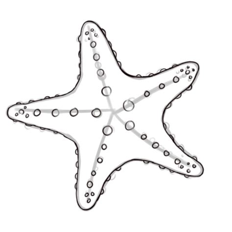 Starfish clipart starfish outline, Starfish starfish outline ...