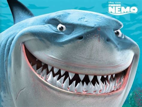 Bruce, Anchor, chum - Nemo the movie