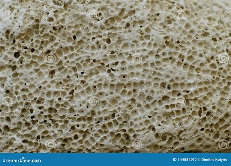 Pumice Stone Background Texture Stock Photo - Image of exfoliant, geology: 144584790