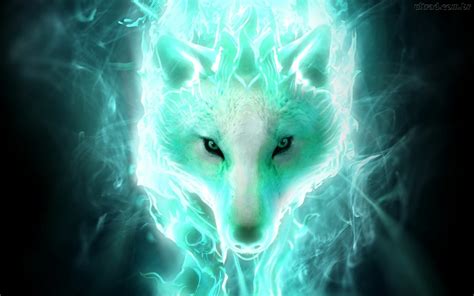 White spirit wolf Full HD Fond d'écran and Arrière-Plan | 1920x1200 ...