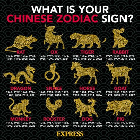 Monkey 2021 zodiac horoscope: What your zodiac sign means for you this year | Express.co.uk