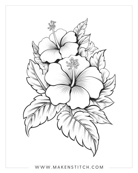 Hawaiian Flower Coloring Pages Printable | Best Flower Site