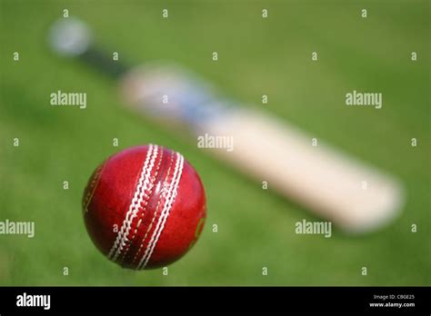 Cricket Bat and cricket balls. Sports equipments Stock Photo - Alamy