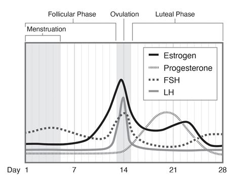 Menopausal Hormone Therapy vs. Estrogen-Containing Contraception ...