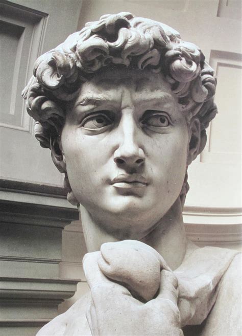 Head of David by Michelangelo Photograph by Carl Purcell - Fine Art America