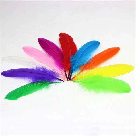 Craft Feathers 10 Pack