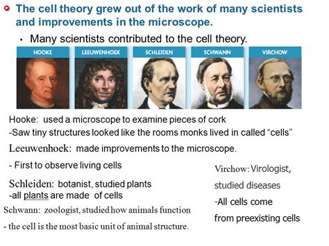 Cell Theory Scientists