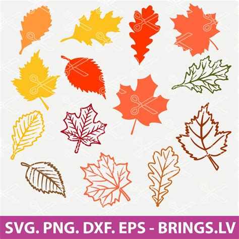 Fall Leaf SVG, Fall Leaf SVG Bundle, Fall Leaves SVG, Fall SVG, Fall PNG, DXF, EPS, Cut Files ...