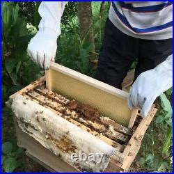 3 Tiers Langstroth Beehive Box Hive+10 Pack Brood Bee Hive Frames and ...