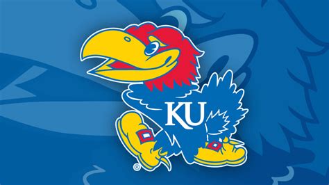 AI chatbot partnership formed to help Kansas fans during bowl game