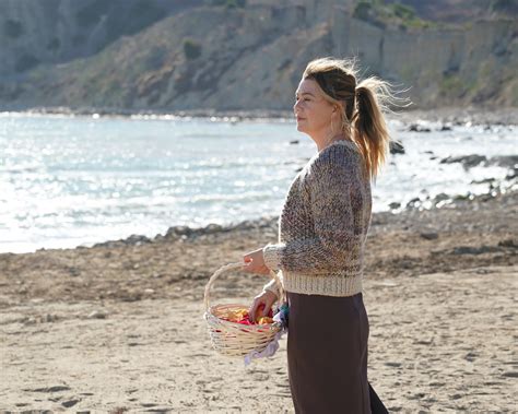 'Grey's Anatomy': Why Didn't Meredith See Ellis on the Beach?