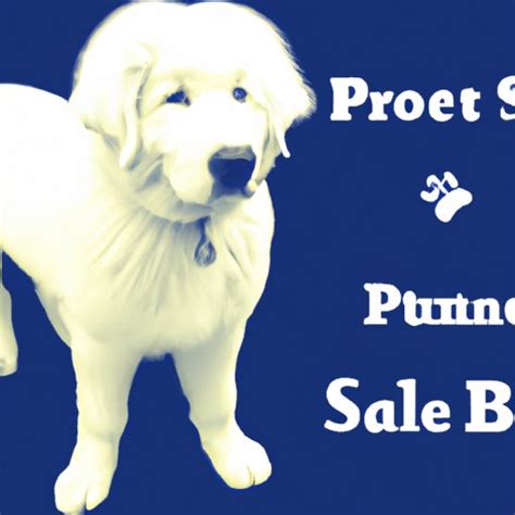 How Much Does a Great Pyrenees Cost? Breaking Down the Price Tag of Owning a Great Pyrenees ...