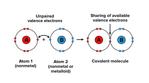 How Do Atoms Form Covalent Bond - vrogue.co