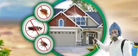 Household Pest Control Service at Rs 1100 in Gurgaon