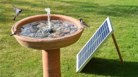 DIY Solar Fountain & Birds Bath | Easy Garden Fountain - YouTube