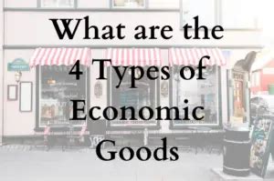 What are the 4 Types of Economic Goods - BoyceWire