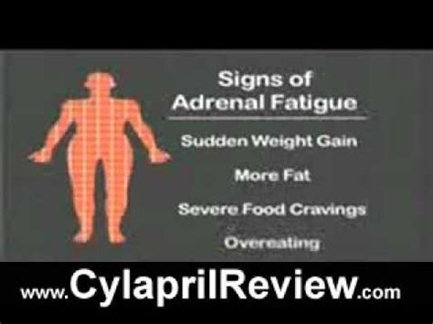 Cylapril Review - YouTube