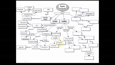 Answers - Organic Molecules Concept Map - YouTube