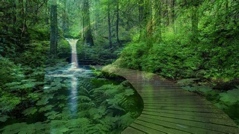 Download Zen Desktop Transparent Bridge In Nature Wallpaper ...