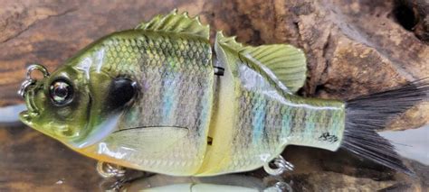 5inch Bluegill 2 Piece Swimbait - Etsy